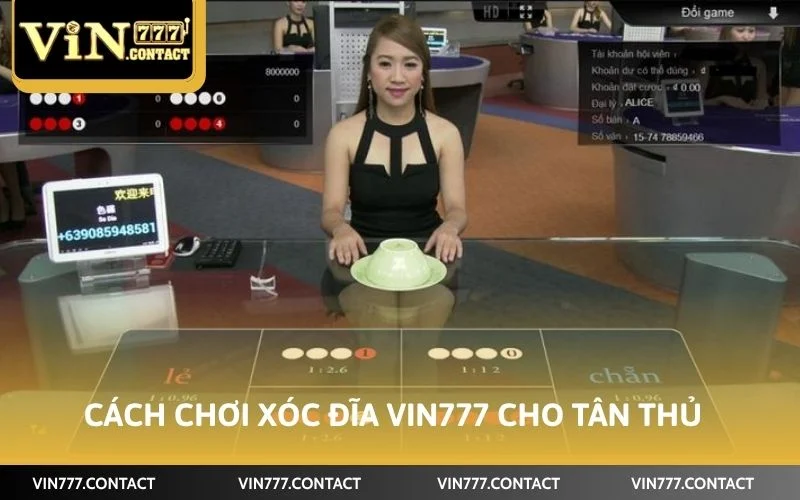 Cách chơi xóc đĩa VIN777 cho tân thủ lần đầu cược