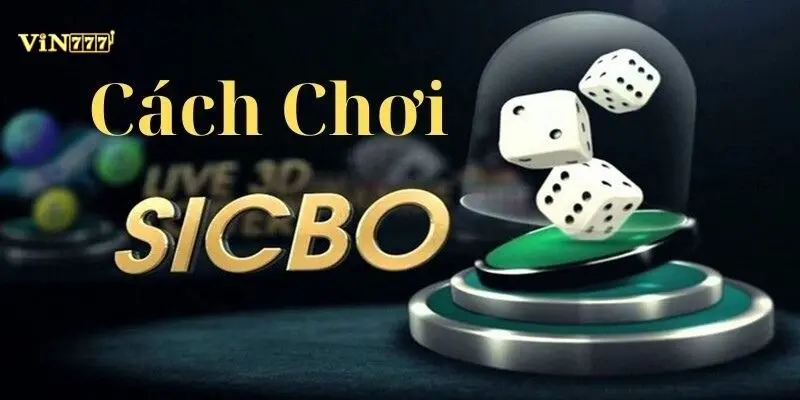 Minh họa cách phân bổ vốn thông minh theo mô hình kết hợp cửa Cược Tổng và Cược Đôi